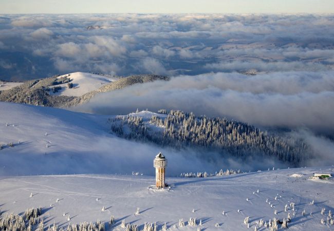 Schwarzwälder Weihnachtszauber im Breisgau